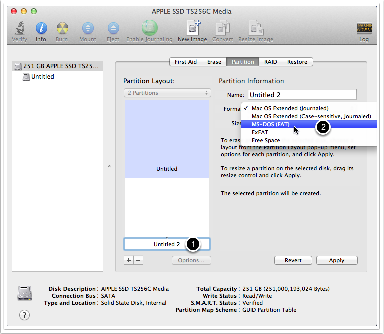 set file system type